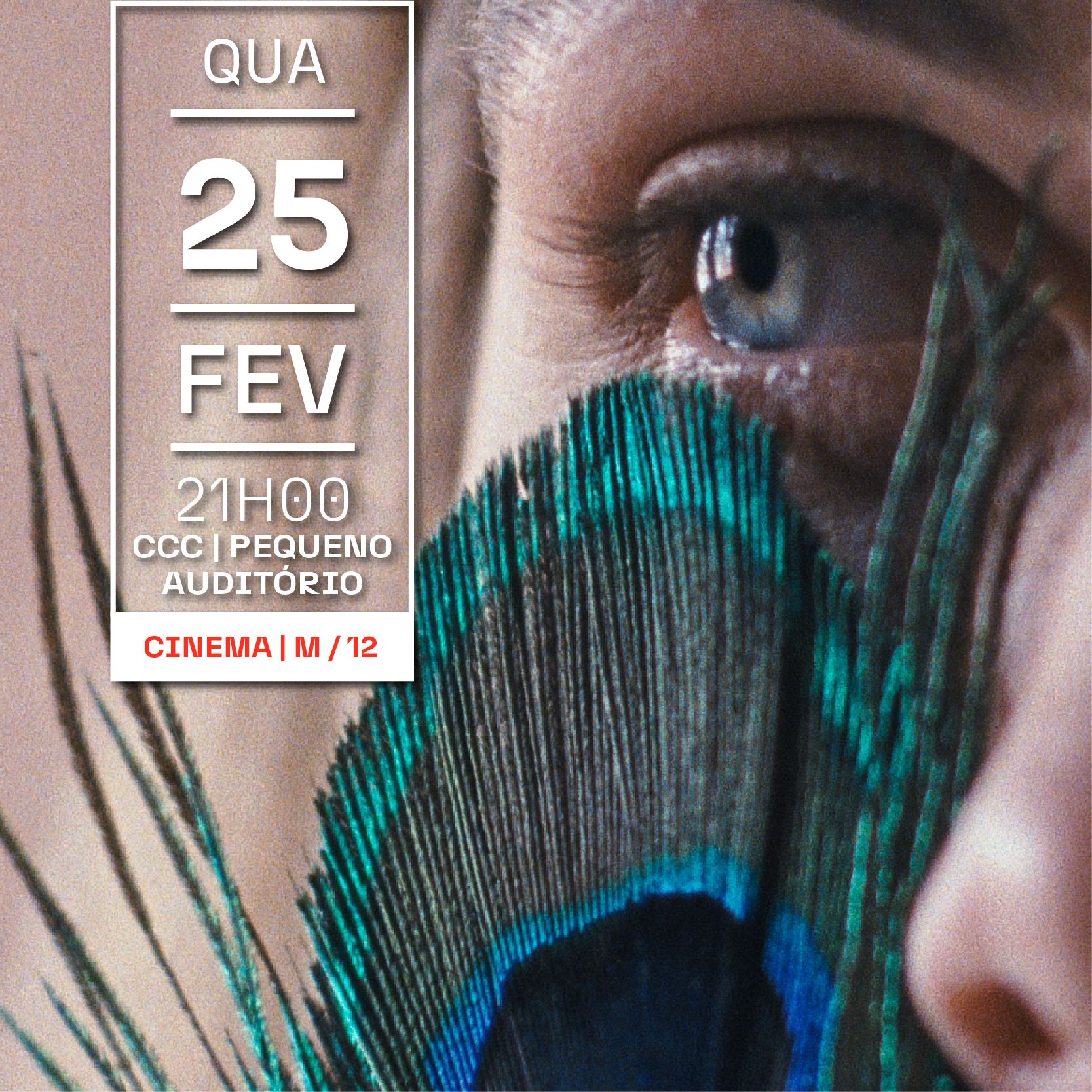 A METAMORFOSE DOS PÁSSAROS, de Catarina Vasconcelos